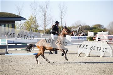 181332_kbb_01_6II3000.JPG