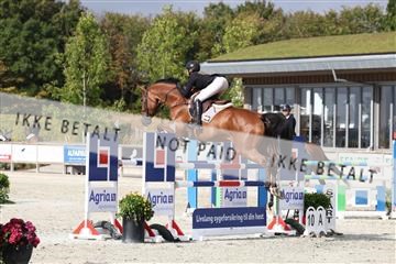 181922_avh_01_1052.JPG