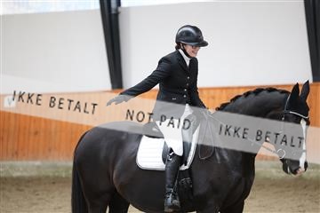 175681_avh_01_R62_0381.JPG