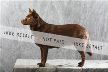 129608_le_ 01_0920.JPG