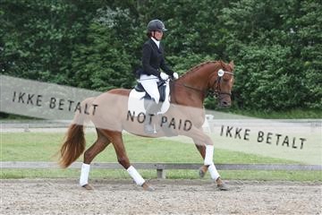 135518_ms_01_IMG_1790.JPG