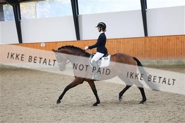 175681_avh_01_R62_0944.JPG