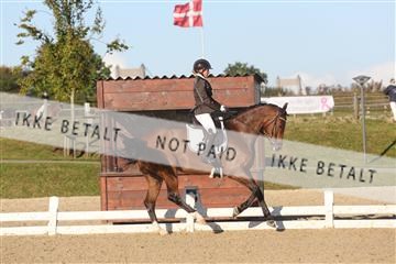 148862_sg_01_IMG_2523.JPG