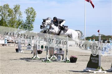 181436_avh_02_3769.JPG