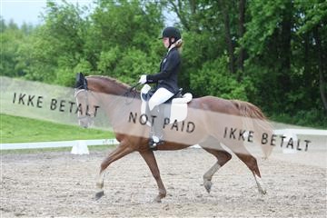 147698_nn_01_IMG_8793.JPG