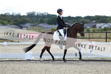 181894_mtp_02_R62_1012.JPG