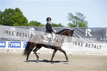 181449_kbb_01_6II9751.JPG