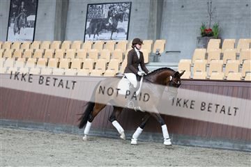 181852_mtp_01_R62_1465.JPG