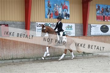 181867_mtp_02_R62_4403.JPG