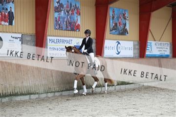 181867_mtp_02_R62_4675.JPG