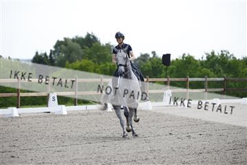 181449_kbb_02_6II0758.JPG