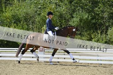 136195_abo_01__AB16072.JPG