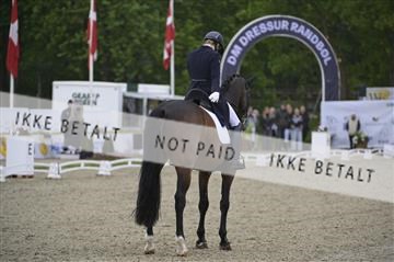 181449_kbb_04_Z095102.JPG
