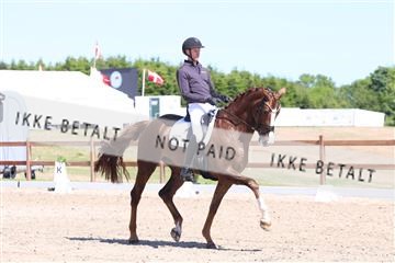 181449_bc_01R62_5615.JPG