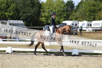 181894_mtp_05_R62_4611.JPG