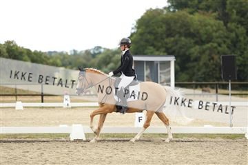 181894_mtp_03_R62_2511.JPG