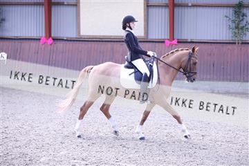 173883_mtp_01_3M5A0487.JPG
