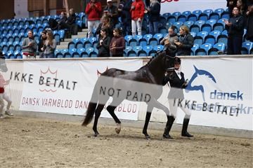 R62_5479.JPG