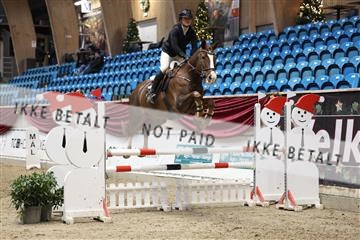 175934_avh_01_5777.JPG