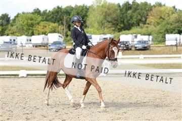 181894_mtp_05_R62_4459.JPG
