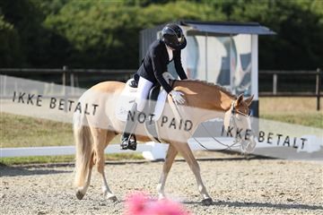 181894_mtp_05_R62_4825.JPG