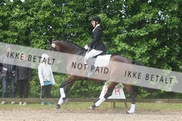 135518_ms_01_IMG_1247.JPG