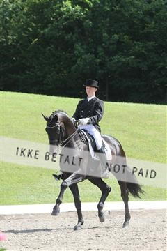 135676_sg_01_IMG_7880.JPG