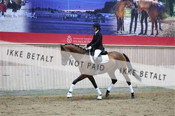 181887_mtp_02_R62_7695.JPG