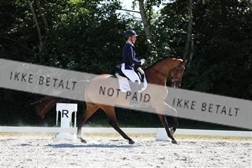 172073_mtp_01_3M5A4552.JPG