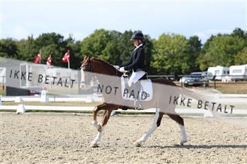 181894_mtp_05_R62_4883.JPG