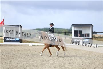 181894_mtp_04_R62_3845.JPG