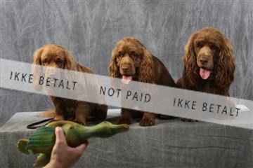 129608_le_ 01_0760.JPG