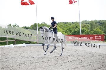 181449_kbb_02_6II0766.JPG