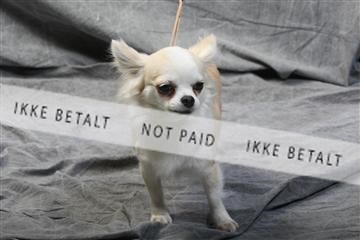 129608_le_ 01_0581.JPG