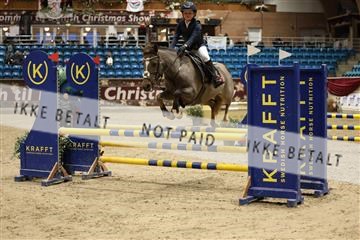 175934_avh_02_6869.JPG