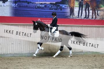 181887_mtp_05_R62_9848.JPG