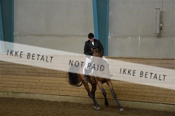 144288_abo_01__AB22672.JPG
