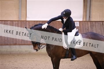 173821_mtp_01_3M5A9691.JPG
