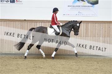 160111_nn_01__ESK1678.JPG