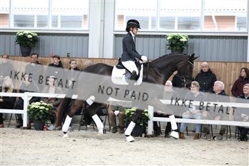 179088_mtp_01_3M5A3738.JPG