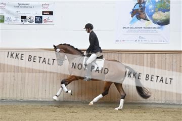 160111_nn_01__ESK2013.JPG