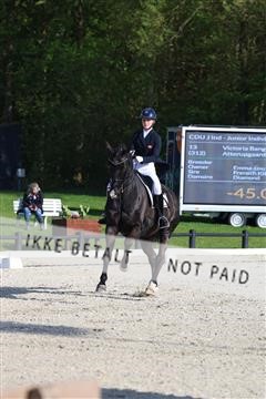 179330_avh_01_8554.JPG