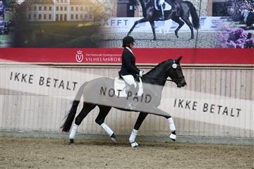 181887_mtp_05_R62_9626.JPG