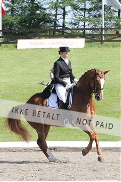 135676_sg_01_IMG_7860.JPG