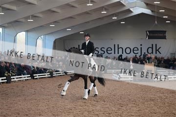 179022_kbb_01_R6II3116.JPG