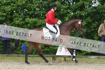 135518_ms_01_IMG_1376.JPG