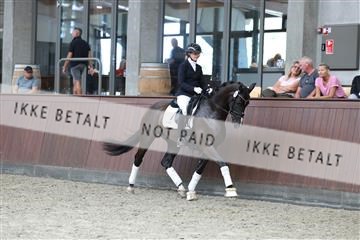 181852_mtp_04_R62_2854.JPG