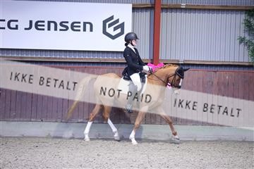 173883_mtp_01_3M5A9880.JPG