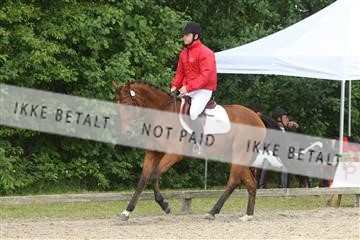 135518_ms_01_IMG_1535.JPG