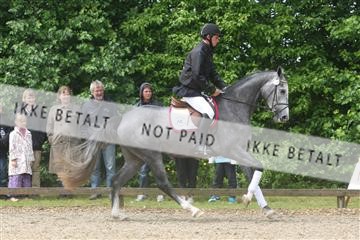 135518_ms_01_IMG_1267.JPG